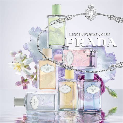 prada les infusion d& 39|Prada infusion iris discontinued.